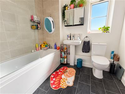 Picture 17